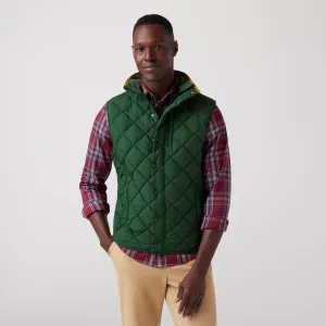 Spruce Solid
